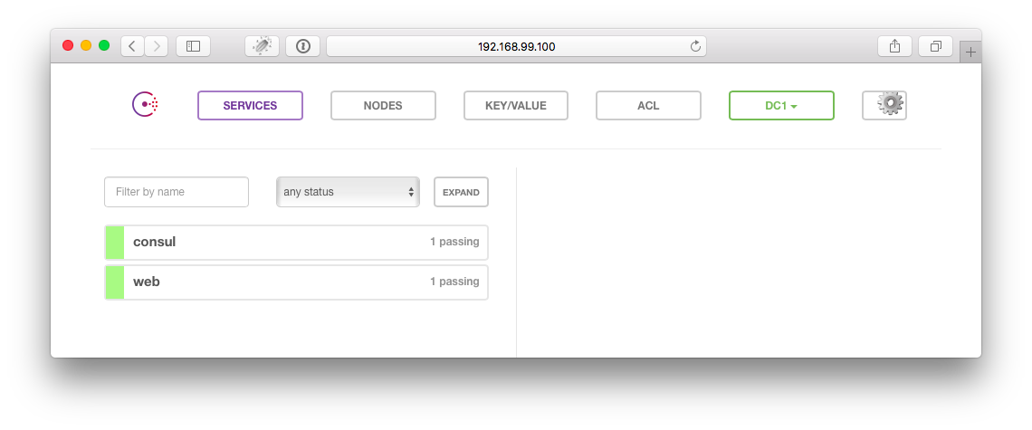 Consul UI with webserver